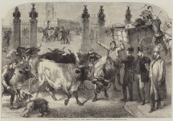 Inspection of Foreign Cattle at the Metropolitan Cattle Market